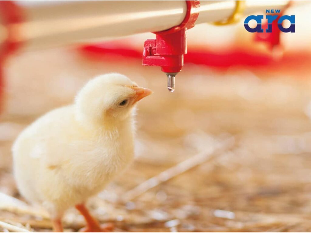 Livestock Farming & Drinking Water Systems